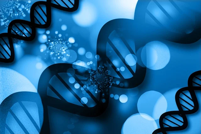 高純度1,3-丙二胺 DAP CAS No:109-76-2，廣泛應用于醫藥、農藥和精細化工產品的合成領域